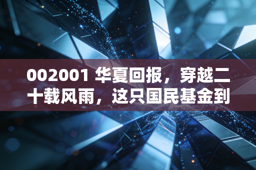 002001 华夏回报,穿越二十载风雨,这只国民基金到底做对了什么?