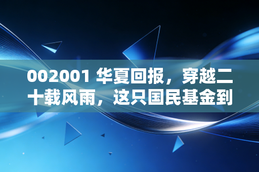 002001 华夏回报,穿越二十载风雨,这只国民基金到底做对了什么?