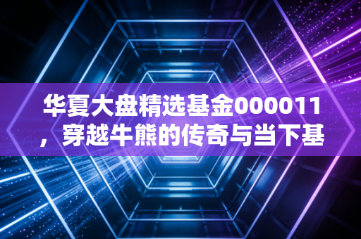 华夏大盘精选基金000011，穿越牛熊的传奇与当下基民的冷思考