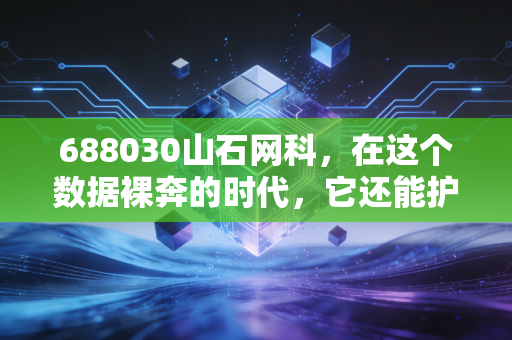 688030山石网科，在这个数据裸奔的时代，它还能护住我们的钱包吗？