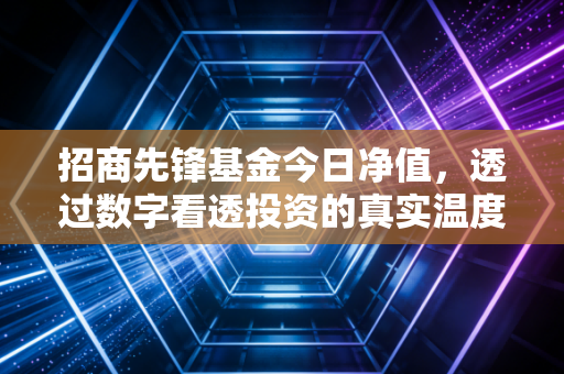 招商先锋基金今日净值，透过数字看透投资的真实温度