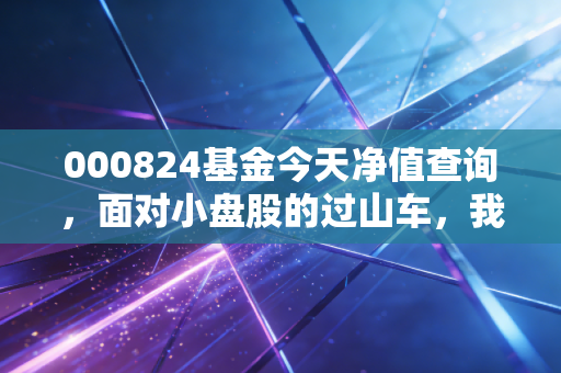 000824基金今天净值查询，面对小盘股的过山车，我们到底在焦虑什么？