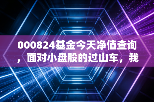 000824基金今天净值查询，面对小盘股的过山车，我们到底在焦虑什么？