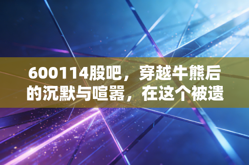 600114股吧,穿越牛熊后的沉默与喧嚣,在这个被遗忘的角落里寻找希望