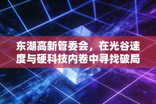 东湖高新管委会,在光谷速度与硬科技内卷中寻找破局之道