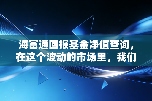 海富通回报基金净值查询,在这个波动的市场里,我们到底该看什么?
