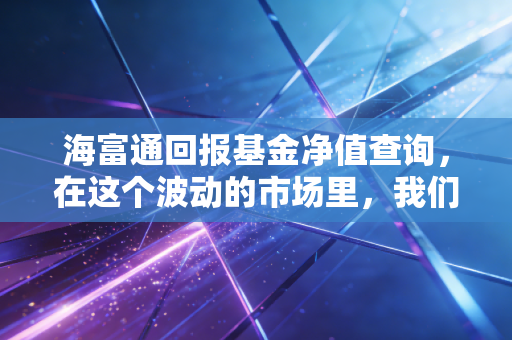 海富通回报基金净值查询,在这个波动的市场里,我们到底该看什么?