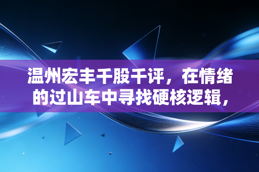 温州宏丰千股千评，在情绪的过山车中寻找硬核逻辑，散户眼中的温州模式还能走多远？