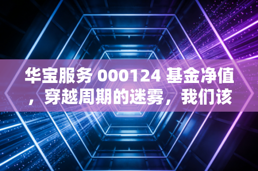 华宝服务 000124 基金净值，穿越周期的迷雾，我们该如何审视这只老牌服务基金？