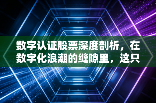 数字认证股票深度剖析，在数字化浪潮的缝隙里，这只隐形冠军到底值不值得长情持有？