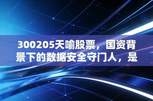 300205天喻股票，国资背景下的数据安全守门人，是潜伏的金矿还是烫手的山芋？