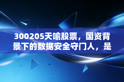 300205天喻股票，国资背景下的数据安全守门人，是潜伏的金矿还是烫手的山芋？