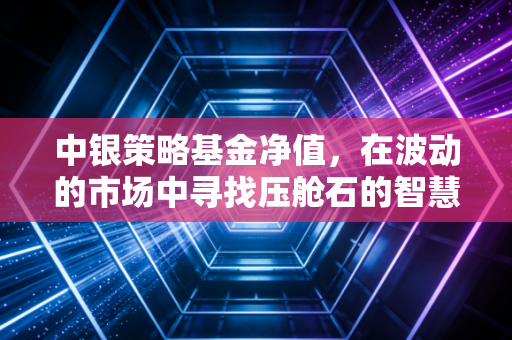 中银策略基金净值，在波动的市场中寻找压舱石的智慧