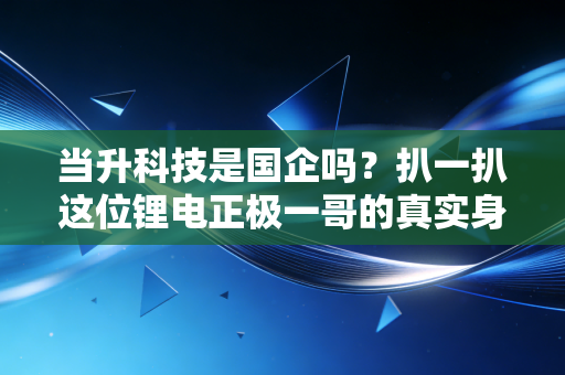 当升科技是国企吗？扒一扒这位锂电正极一哥的真实身份与江湖地位