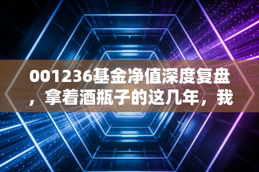 001236基金净值深度复盘，拿着酒瓶子的这几年，我们到底经历了什么？