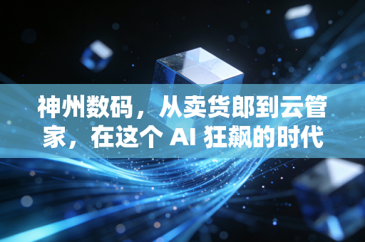 神州数码，从卖货郎到云管家，在这个 AI 狂飙的时代它还能带给我们什么惊喜？