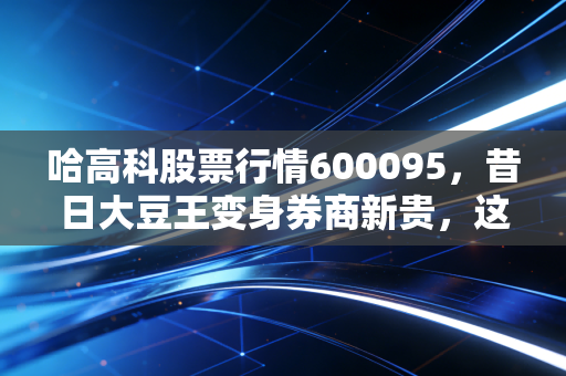哈高科股票行情600095，昔日大豆王变身券商新贵，这波行情到底怎么走？