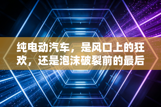纯电动汽车，是风口上的狂欢，还是泡沫破裂前的最后疯狂？