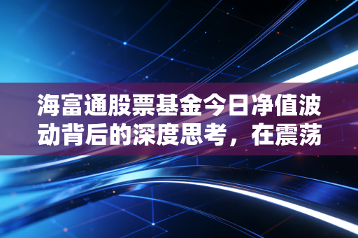 海富通股票基金今日净值波动背后的深度思考，在震荡市中寻找投资的定海神针