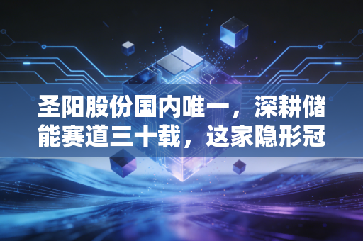 圣阳股份国内唯一，深耕储能赛道三十载，这家隐形冠军凭什么穿越周期？