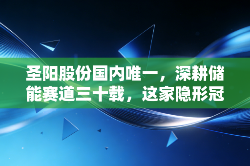 圣阳股份国内唯一，深耕储能赛道三十载，这家隐形冠军凭什么穿越周期？