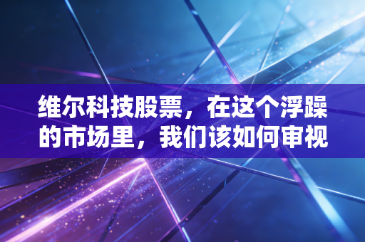 维尔科技股票，在这个浮躁的市场里，我们该如何审视金融科技小巨人的真实价值？