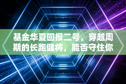 基金华夏回报二号，穿越周期的长跑健将，能否守住你的钱袋子？