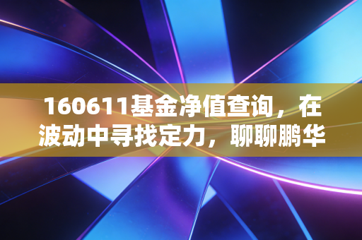 160611基金净值查询,在波动中寻找定力,聊聊鹏华中证500的投资真相