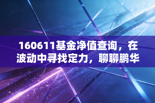 160611基金净值查询,在波动中寻找定力,聊聊鹏华中证500的投资真相