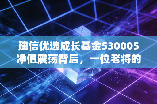 建信优选成长基金530005净值震荡背后，一位老将的坚守与普通投资者的修行