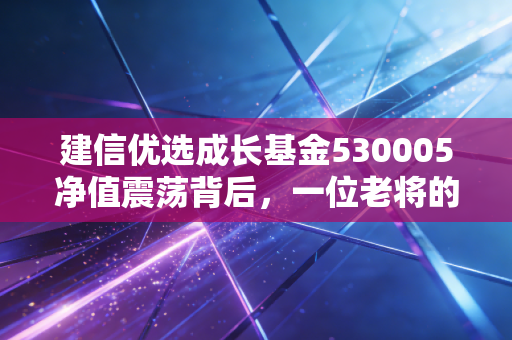建信优选成长基金530005净值震荡背后,一位老将的坚守与普通投资者的修行