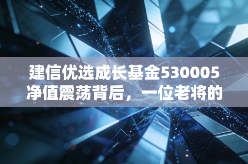 建信优选成长基金530005净值震荡背后，一位老将的坚守与普通投资者的修行