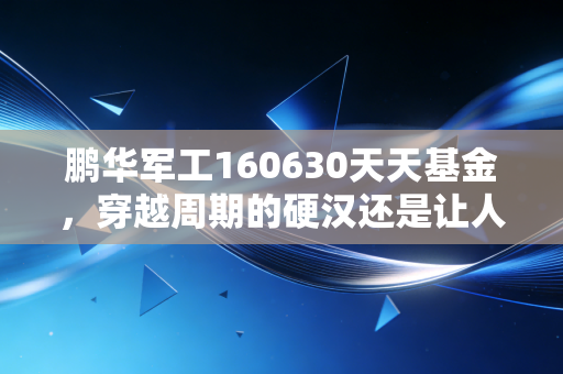 鹏华军工160630天天基金，穿越周期的硬汉还是让人心碎的渣男？深度聊聊军工投资的痛与悟