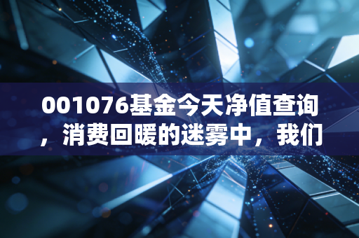 001076基金今天净值查询,消费回暖的迷雾中,我们该如何守住钱袋子?