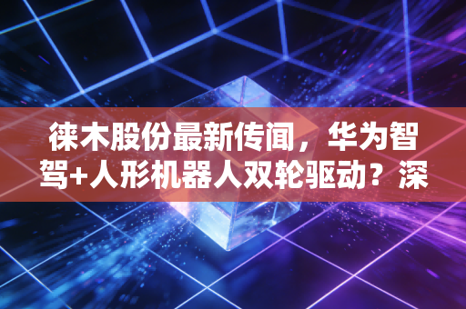 徕木股份最新传闻,华为智驾+人形机器人双轮驱动?深度拆解这只小而美的真实底色