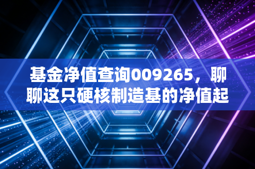 基金净值查询009265,聊聊这只硬核制造基的净值起伏与我们的投资心态