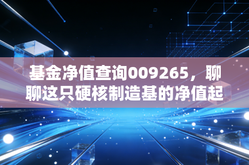 基金净值查询009265,聊聊这只硬核制造基的净值起伏与我们的投资心态