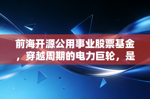 前海开源公用事业股票基金,穿越周期的电力巨轮,是稳健的压舱石还是波动的过山车?