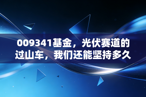 009341基金,光伏赛道的过山车,我们还能坚持多久?