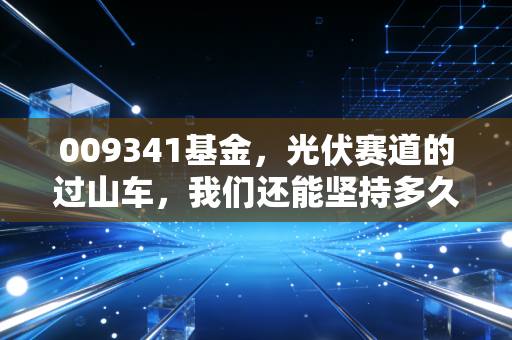 009341基金,光伏赛道的过山车,我们还能坚持多久?
