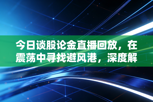 今日谈股论金直播回放,在震荡中寻找避风港,深度解析A股的变局与坚守