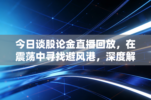 今日谈股论金直播回放,在震荡中寻找避风港,深度解析A股的变局与坚守