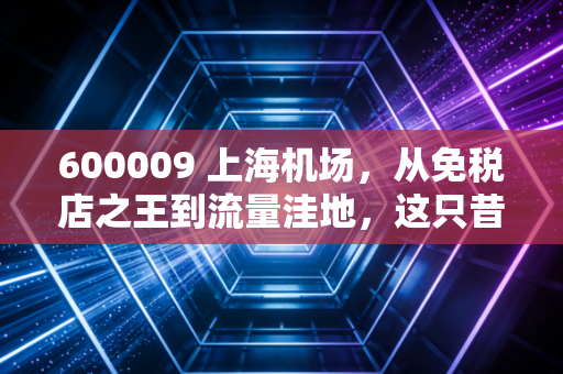 600009 上海机场,从免税店之王到流量洼地,这只昔日白马股还能回得去吗?