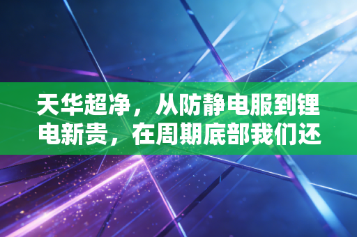 天华超净,从防静电服到锂电新贵,在周期底部我们还能期待什么?