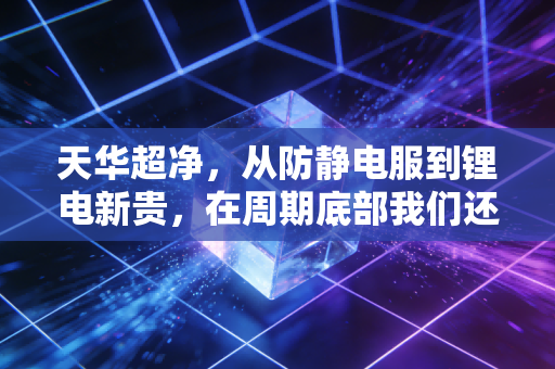 天华超净,从防静电服到锂电新贵,在周期底部我们还能期待什么?