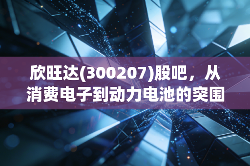 欣旺达(300207)股吧,从消费电子到动力电池的突围战,我们还要熬多久?