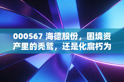 000567 海德股份,困境资产里的秃鹫,还是化腐朽为神奇的炼金术士?