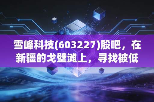 雪峰科技(603227)股吧,在新疆的戈壁滩上,寻找被低估的爆破红利