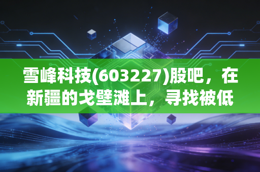 雪峰科技(603227)股吧,在新疆的戈壁滩上,寻找被低估的爆破红利