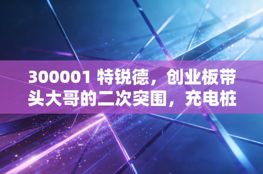 300001 特锐德，创业板带头大哥的二次突围，充电桩真的是一门好生意吗？
